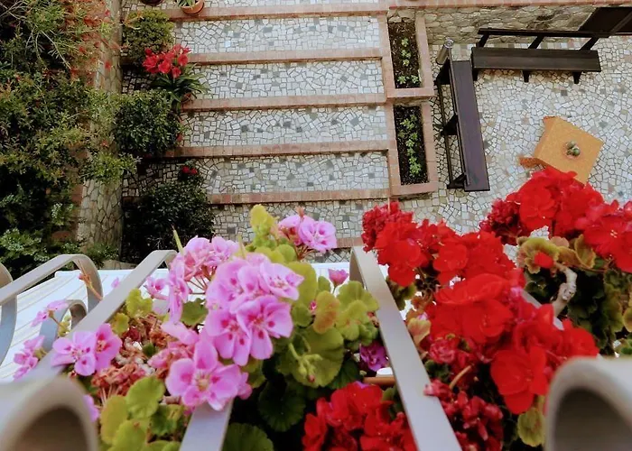 Zama 3* 斯卡莱阿