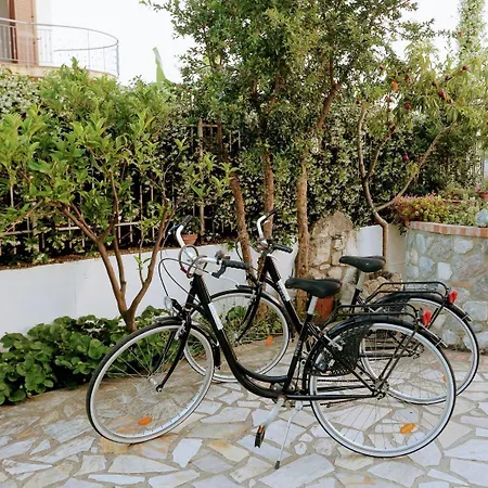 Bed and Breakfast Zama