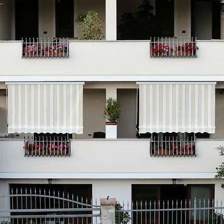 Zama