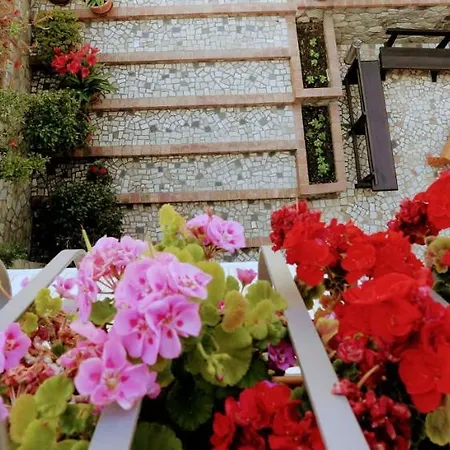 Bed & Breakfast Zama