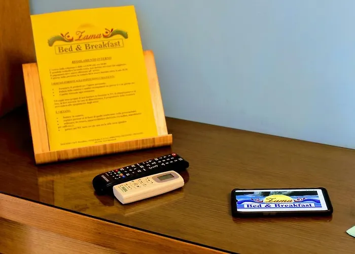 住宿加早餐酒店 Zama 3*