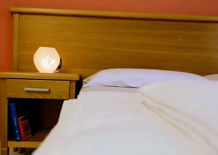 住宿加早餐酒店 Zama 3*